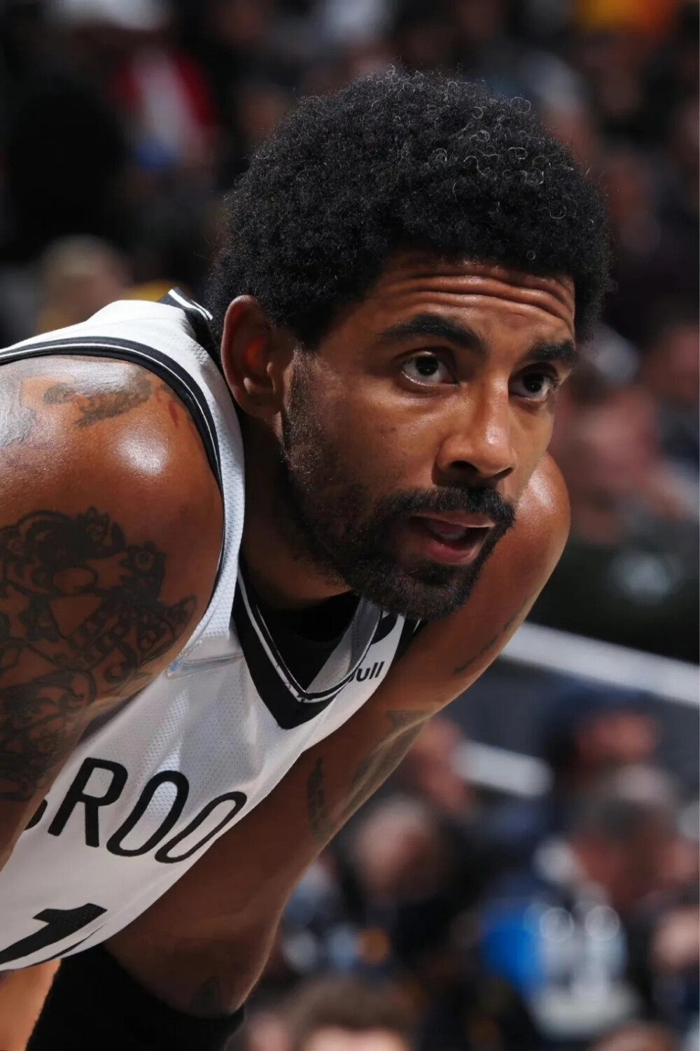 明加成为近 明加成为近